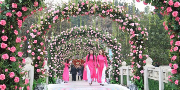 Lễ hội hoa hồng Bulgaria tổ chức tại Việt Nam từ 8/3 đến 11/3/2018 