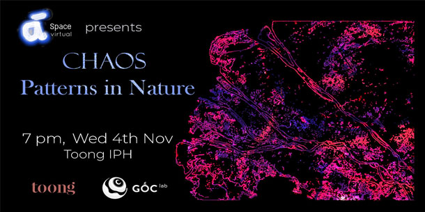 Workshop VI: Triển Lãm Nghệ Thuật Thị Giác Chaos – Patterns in Nature 2020