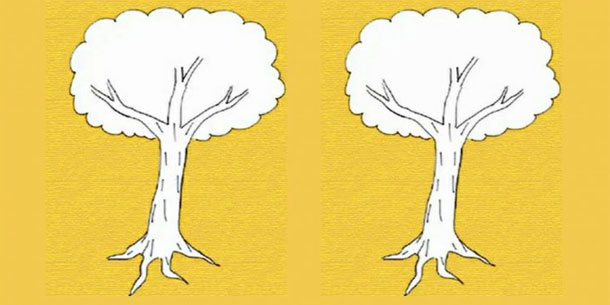 Trắc nghiệm Karl Koch: Cách vẽ cây tiết lộ điều gì về cảm xúc của bạn?