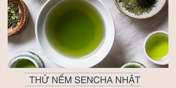 Workshop thử nếm trà Nhật Sencha - Ngày 10.12.2023