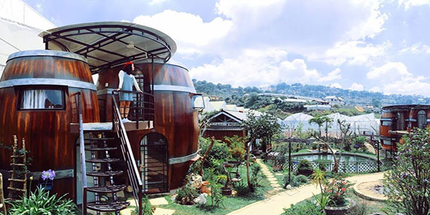 Những lý do nhất định bạn phải đến Đà Lạt một lần vào tháng 12