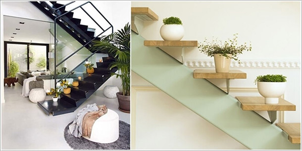 Năm mới hãy trồng ngay 5 loại cây này để nhà lúc nào cũng đầy may mắn, tài lộc