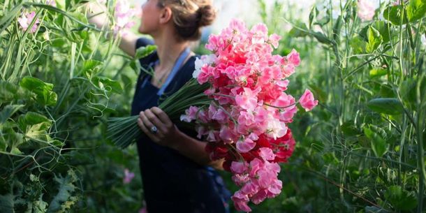 Bạn có muốn biết, nửa cuối năm 2018 sẽ trôi qua thế nào với 12 con giáp?