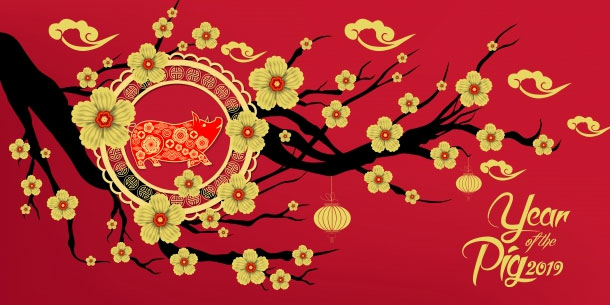 Năm mới 2019 12 con giáp nên mặc màu gì để rủng rỉnh tiền tiêu cả năm!!!