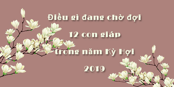 Điều gì đang chờ đợi 12 con giáp trong năm Kỳ Hợi 2019