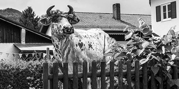 Triển Lãm Con Quái Vật Trong Bạn 2019