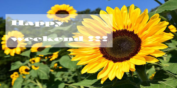 Tổng hợp các sự kiện cuối tuần 20 & 21/04