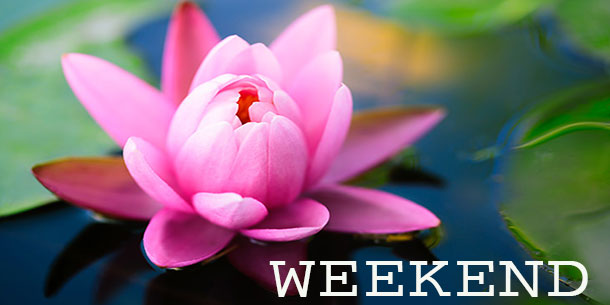 Tổng hợp các sự kiện cuối tuần ngày 08 - 09/06