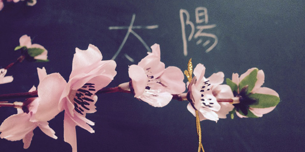 Lễ hội văn hóa Nhật Bản - Taiyou Matsuri Tháng 8 - 2019