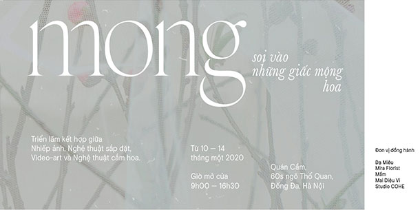 Mong | soi vào những giấc mộng hoa