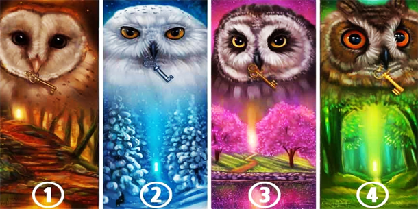 Trắc nghiệm: Lựa chọn hình ảnh yêu thích và tìm hiểu tính cách tiềm ẩn của bạn