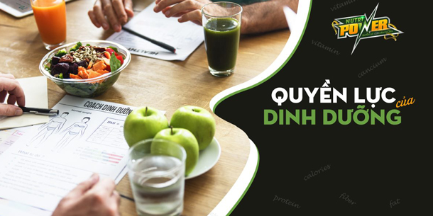 Hội thảo Quyền Lực Của Dinh Dưỡng - NP29 (Hà Nội)