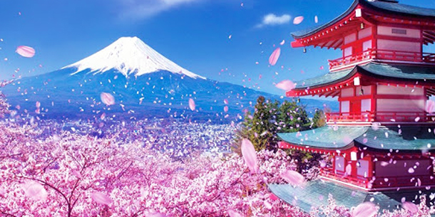 Buổi giới thiệu giáo trình "IRODORI: Tiếng Nhật Trong Đời Sống" - Dành cho giáo viên 