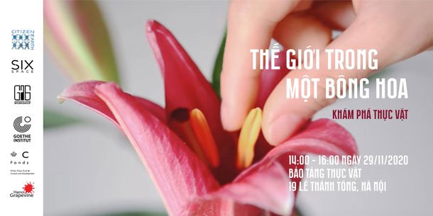 Workshop: Thế giới trong một bông hoa Khám phá thực vật