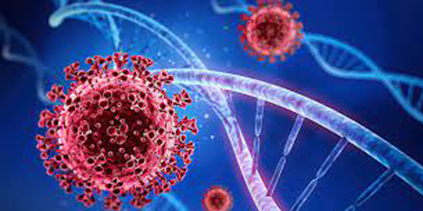 Có thể bạn chưa biết - Lịch sử nhân loại đã trải qua những đợt dịch bệnh khủng khiếp nào?