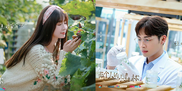 Preview phim Trung Quốc - Khu Rừng Nhỏ Của Hai Người do Ngu Thư Hân và Trương Bân Bân đóng chính 