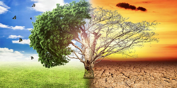 Biến đổi khí hậu có ảnh hưởng như thế nào đến sự phát triển bền vững tại Việt Nam