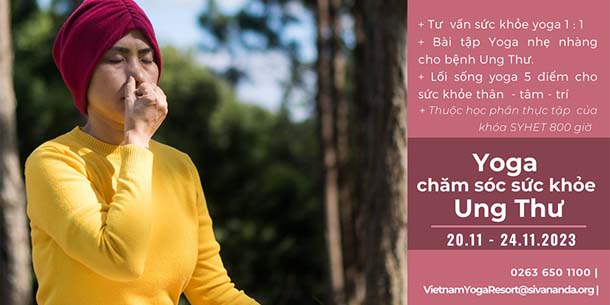 Khóa học YOGA - Chăm sóc sức khỏe Ung thư