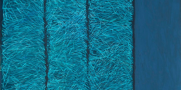 Triển lãm cá nhân của Nguyễn Linh