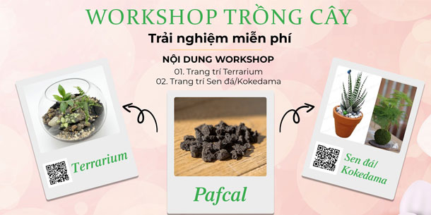Workshop trồng cây  - Trải Nghiệm Hoàn Toàn Miễn Phí 2024