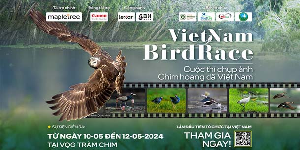 Cuộc thi chụp ảnh Chim Hoang Dã Việt Nam - Vietnam Birdrace 2024