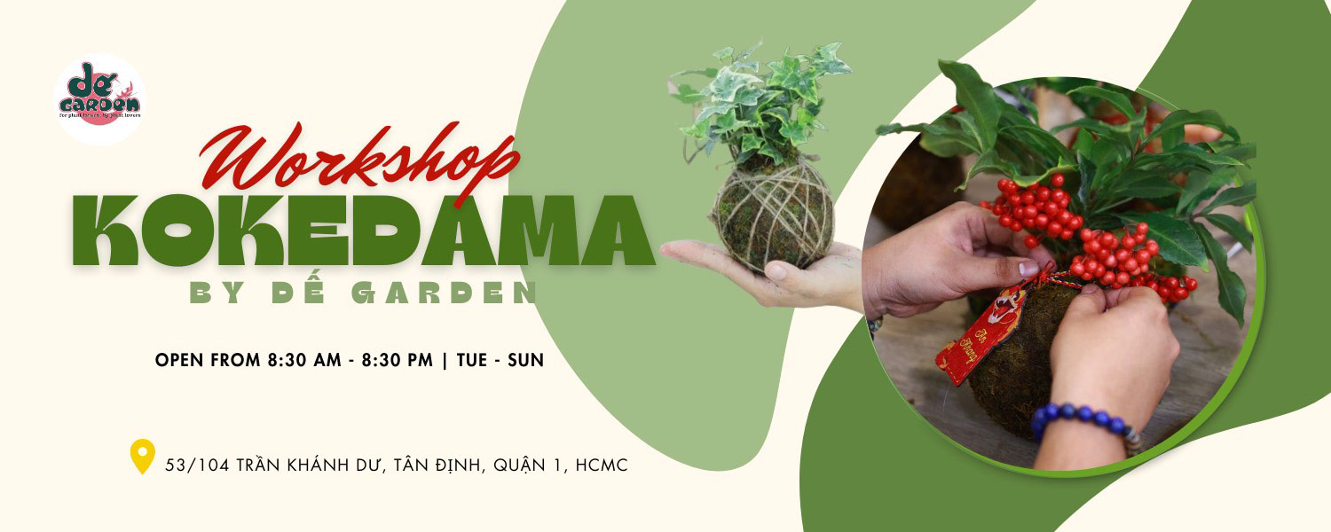 Workshop Kokedama – Viên ngọc rêu