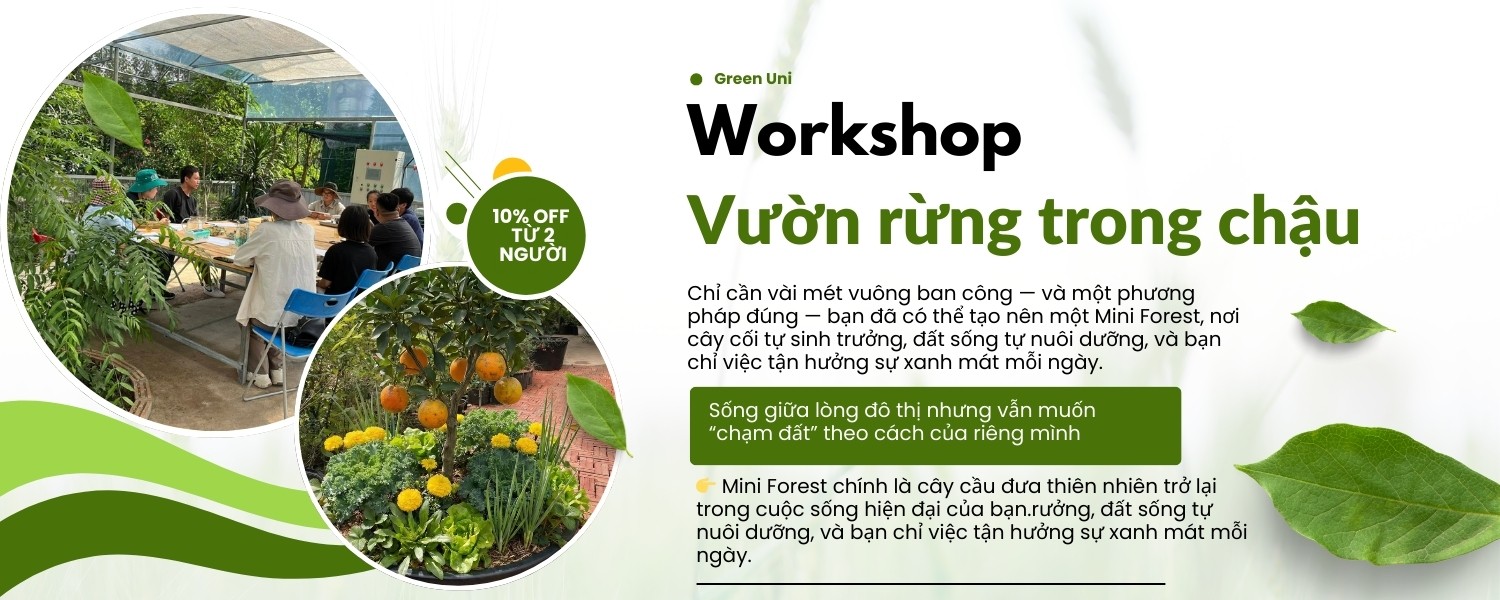 Workshop - Vườn rừng trong chậu | Trung tâm đào tạo Nông nghiệp Green Uni
