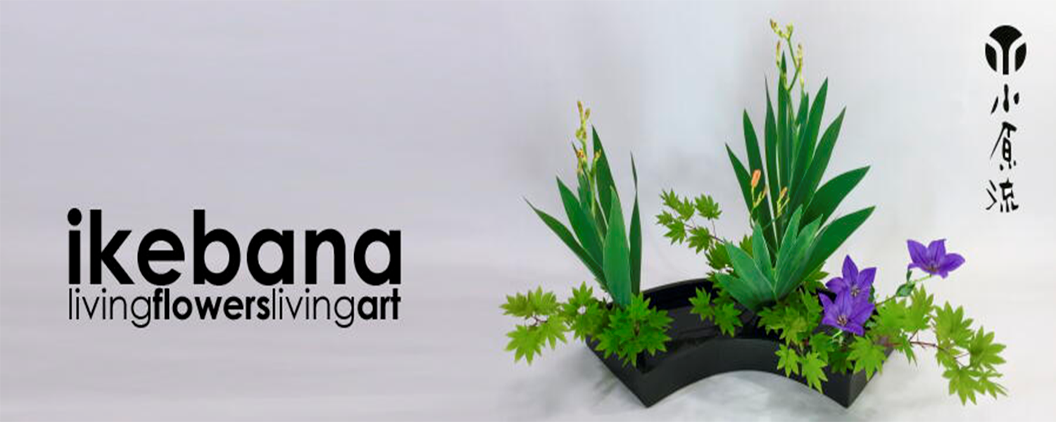 Trải nghiệm văn hóa Nhật Bản: Ikebana