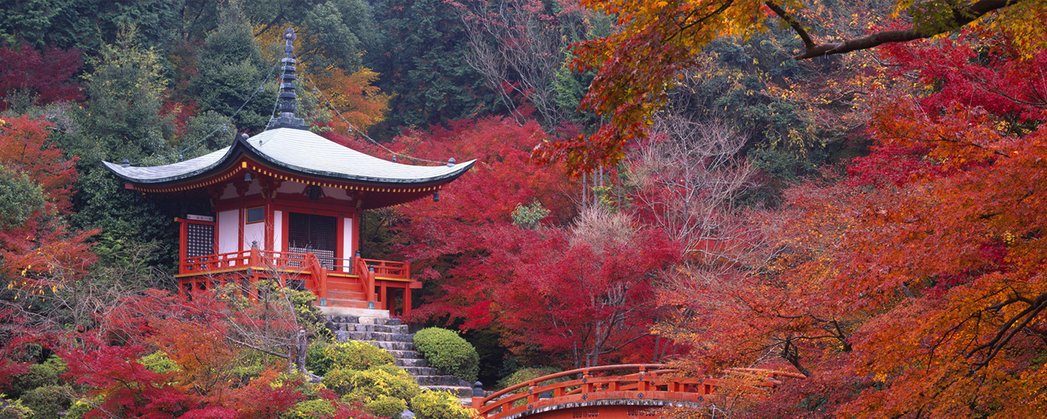 Lễ Hội Mùa Thu Nhật Bản Aki Matsuri 2017