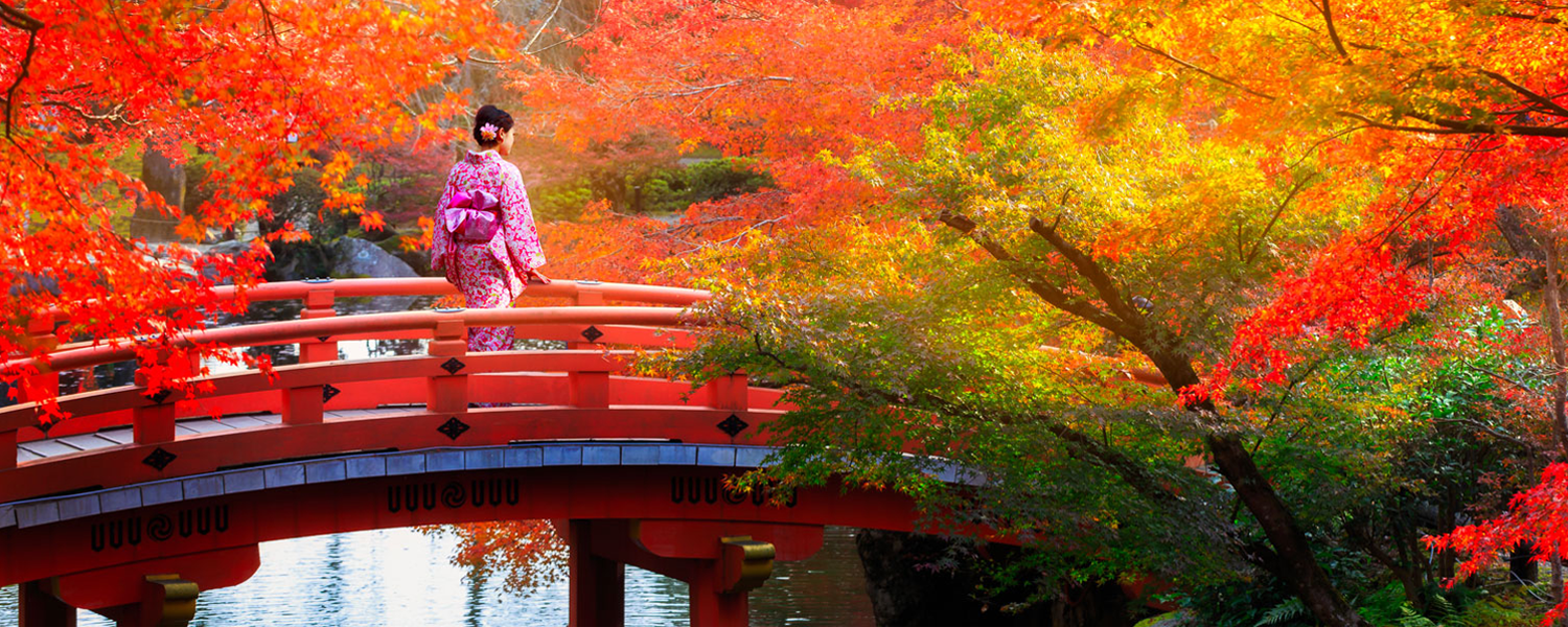 Lễ Hội Mùa Thu Nhật Bản Aki Matsuri 2017