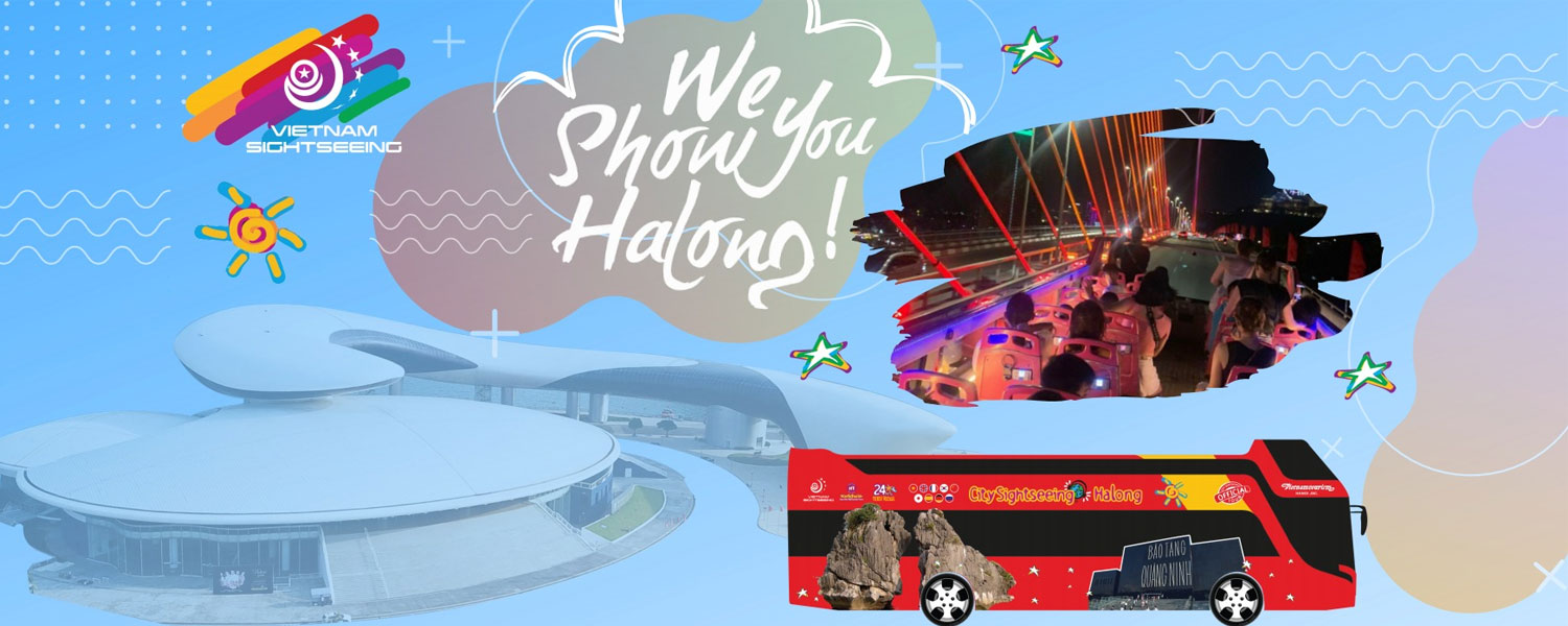 Hạ Long: City Sightseeing Ha Long - Ticket