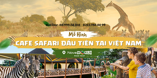 Bán vé vào cửa SAFARI CAFE - Cafe bán hoang dã đầu tiên tại Việt Nam - Novaworld Phan Thiết