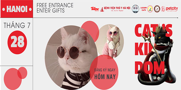 Cat's Kingdom - Nơi hội tụ giới quý tộc loài mèo