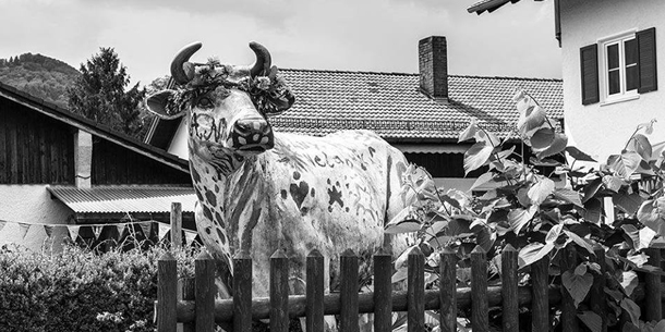 Triển lãm "Con quái vật trong bạn - The monster in you"