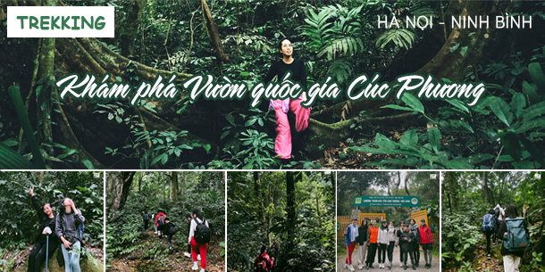 Tour Trekking Hà Nội - Ninh Bình | Khám phá Vườn quốc gia Cúc Phương (tour du lịch 1 ngày)