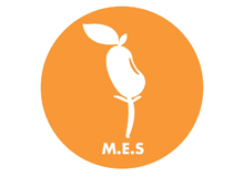 MES