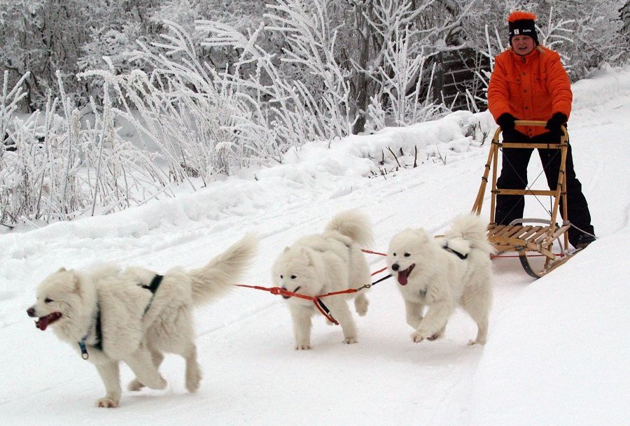Cùng ngắm nhìn những phương tiện giao thông độc đáo trên thế giới