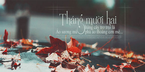 Đi tìm 5 cung hoàng đạo sung túc nhất tháng cuối cùng của năm 2017