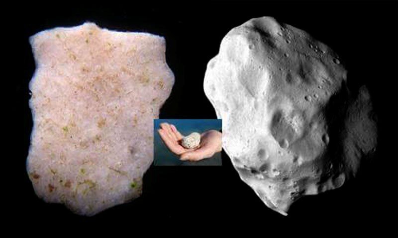 Workshop trải nghiệm chế tác thạch cao cùng nghệ sĩ Claudia Cappoci